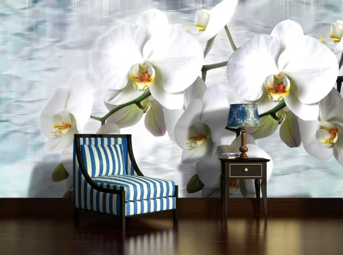 Orchidea poszter, fotótapéta