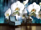 Orchidea poszter, fotótapéta