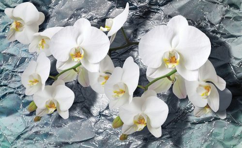 Orchidea poszter, fotótapéta, Vlies (416 x 254 cm)