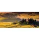 Toszkána poszter, fotótapéta (250 cm x 104 xm)