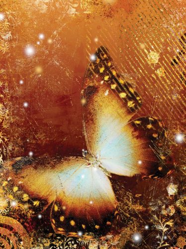 Pillangó poszter, fotótapéta, Vlies  (184x254 cm, álló)