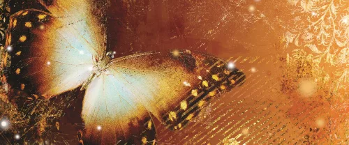 Pillangó poszter, fotótapéta (250 x 104 cm)