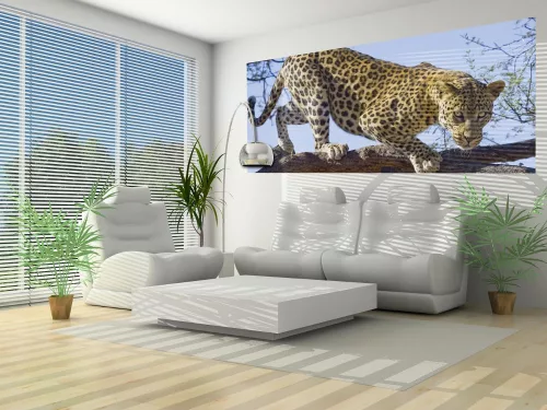 Jaguár poszter, fotótapéta (250 x 104 cm)