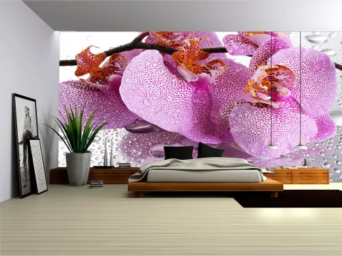 Orchidea poszter, fotótapéta