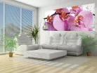 Orchidea poszter, fotótapéta (250 x 104 cm)