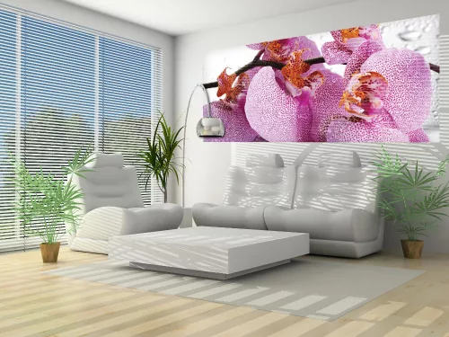 Orchidea poszter, fotótapéta (250 x 104 cm)