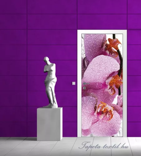 Orchidea poszter, fotótapéta (91 x 211 cm)