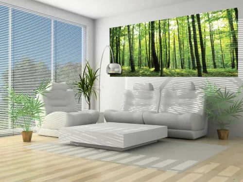 Erdő poszter, fotótapéta (250 x 104 cm)