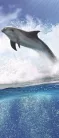 Delfin öntapadós poszter, fotótapéta (91 x 211 cm)