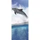 Delfin öntapadós poszter, fotótapéta (91 x 211 cm)