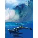 Delfinek poszter, fotótapéta, Vlies  (206x275 cm, álló)