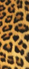 Leopárd minta poszter, fotótapéta (91 x 211 cm)