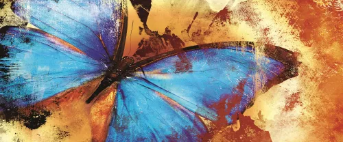 Pillangó poszter, fotótapéta (250 x 104 cm)