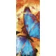 Pillangó poszter, fotótapéta (91 x 211 cm)