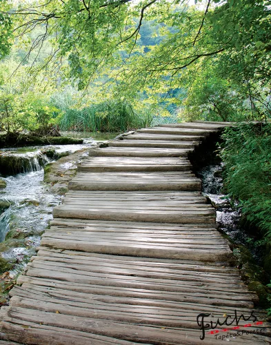 Patak vlies poszter, fotótapéta (206 x 275 cm)