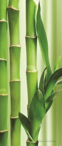 Bamboo öntapadós poszter, fotótapéta (91 x 211 cm)
