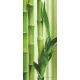 Bamboo öntapadós poszter, fotótapéta (91 x 211 cm)