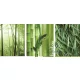 Bamboo poszter, fotótapéta (250 x 104 cm)