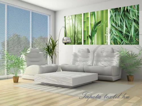 Bamboo poszter, fotótapéta (250 x 104 cm)