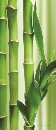 Bamboo poszter, fotótapéta (91 x 211 cm)