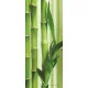 Bamboo poszter, fotótapéta (91 x 211 cm)