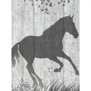 Ló poszter, fotótapéta (184 x 254 cm)