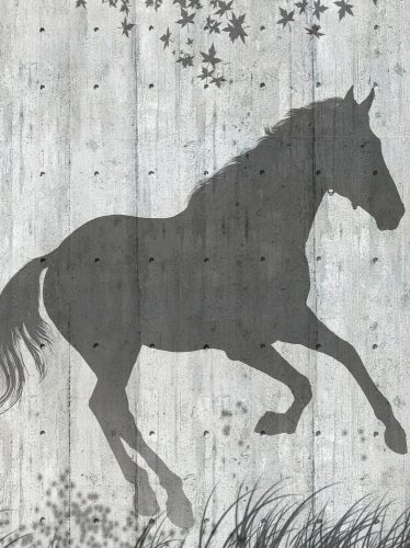 Ló poszter, fotótapéta, Vlies  (184x254 cm, álló)