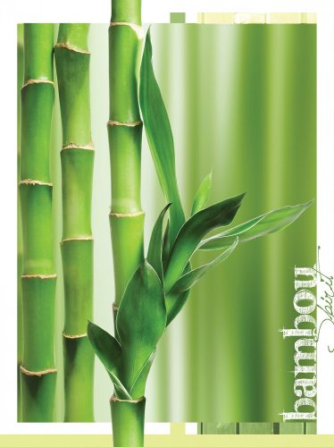 Bambusz poszter, fotótapéta, Vlies  (184x254 cm, álló)