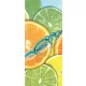 Lime poszter, fotótapéta (91 x 211 cm)