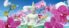 Buddha poszter, fotótapéta (250 x 104 cm)