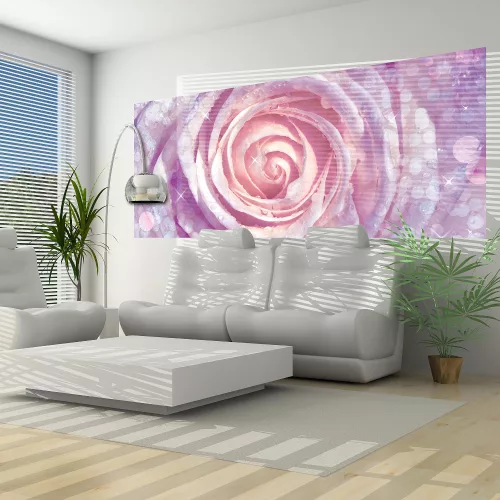 Rózsa poszter, fotótapéta (250 cm x 104 xm)