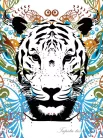 Tigris vlies poszter, fotótapéta (206 x 275 cm)