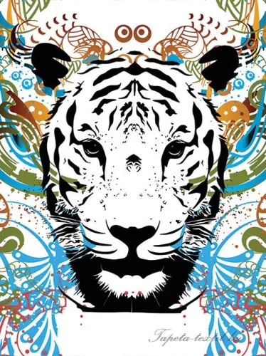 Tigris vlies poszter, fotótapéta (206 x 275 cm)