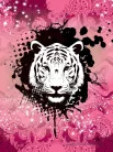 Tigris vlies poszter, fotótapéta (206 x 275 cm)