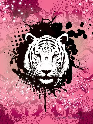 Tigris vlies poszter, fotótapéta (206 x 275 cm)