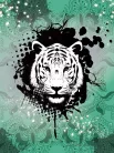 Tigris vlies poszter, fotótapéta (206 x 275 cm)