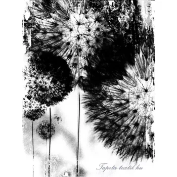 Pitypang vlies poszter, fotótapéta (206 x 275 cm)