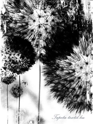 Pitypang vlies poszter, fotótapéta (206 x 275 cm)