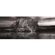 Jaguár poszter, fotótapéta (250 x 104 cm)