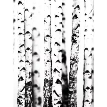 Fák poszter, fotótapéta (184 x 254 cm)
