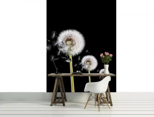 Pitypang poszter, fotótapéta (206 x 275 cm)