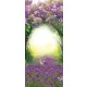 Orgona poszter, fotótapéta (91 x 211 cm)