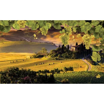 Mediterrán tájkép