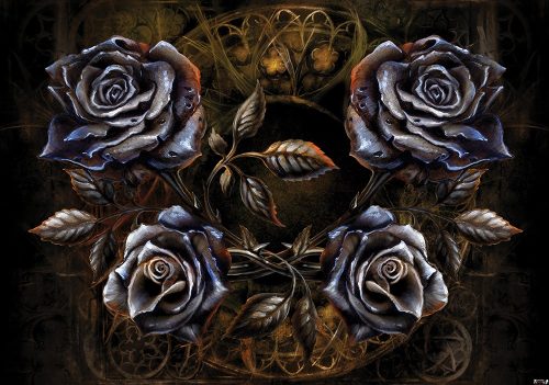 Rózsák poszter, fotótapéta Vlies (368 x 254 cm)