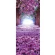 Virágzó fák poszter, fotótapéta (91 x 211 cm)