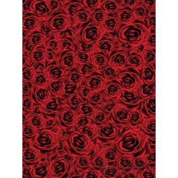 Rózsák vlies poszter, fotótapéta (206 x 275 cm)