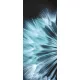 Pitypang öntapadós poszter, fotótapéta (91 x 211 cm)