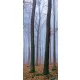 Erdő öntapadós poszter, fotótapéta (91 x 211 cm)
