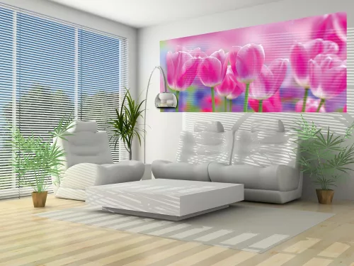 Tulipánok poszter, fotótapéta (250 x 104 cm)