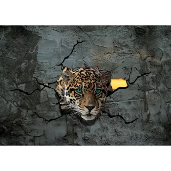 Jaguár poszter, fotótapéta